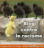 anti racisme